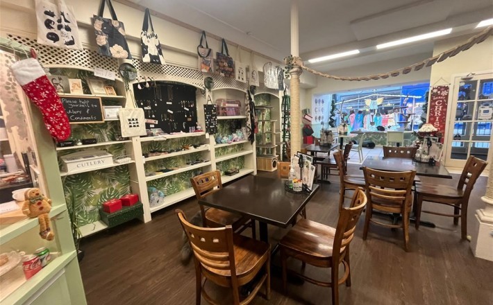 Bedford Cat Cafe, Bedford